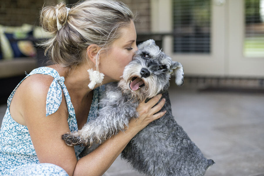 dog owner kissing terrier